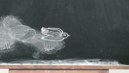 Bird on a chalkboard