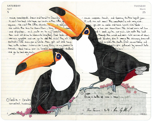 Two toucan birds drawn over a journal.