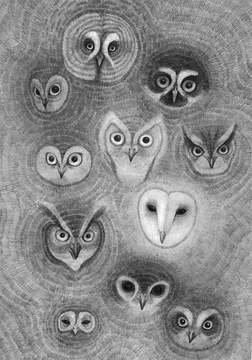 Illustration of multiple owl faces