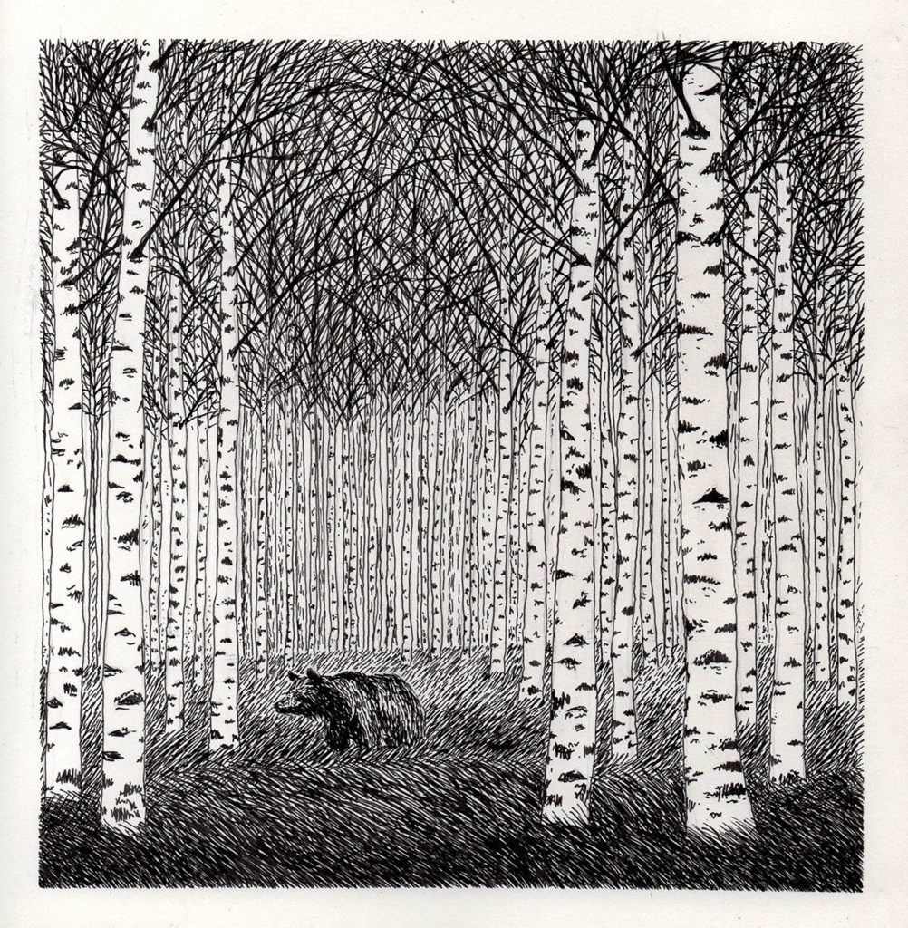 Sketch of a forest and a bear.