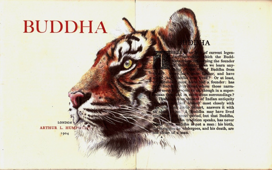 Drawing of a tiger on a book.