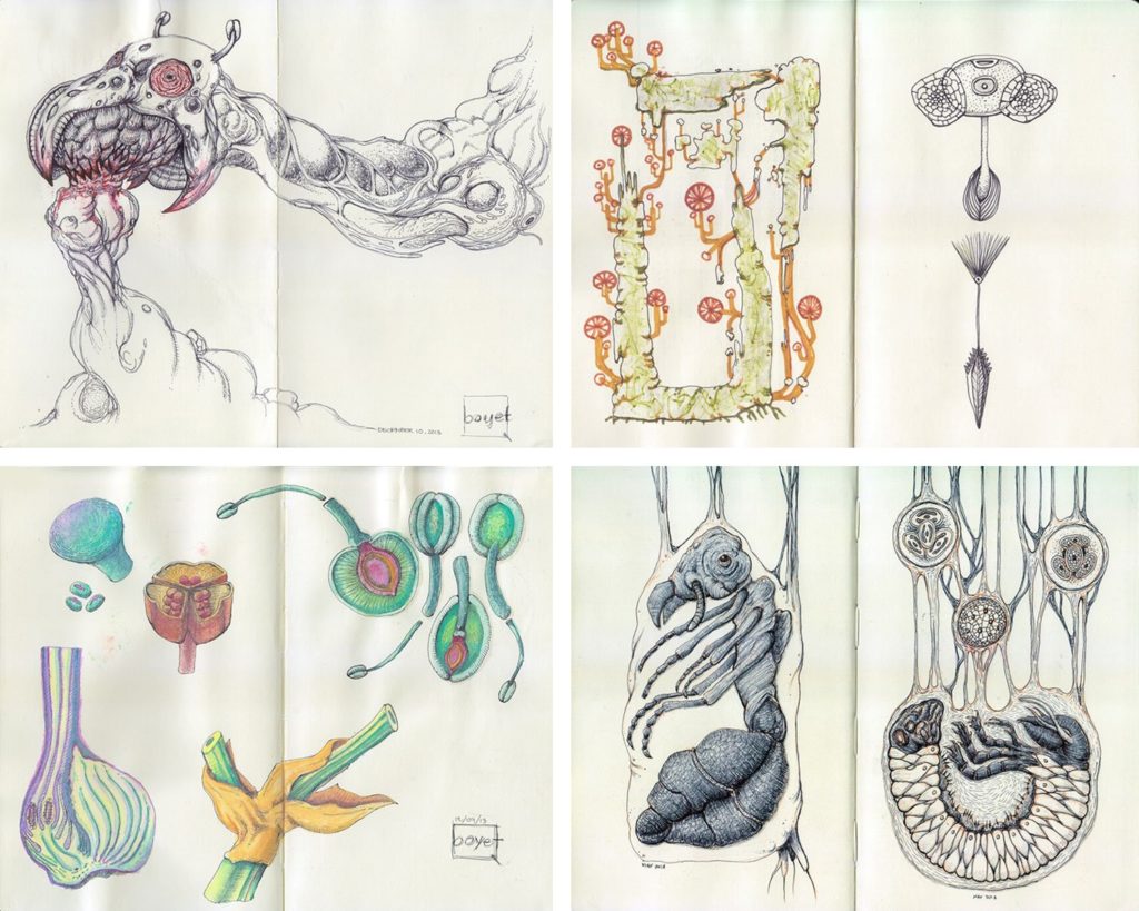 Collage of sketchbook drawings.