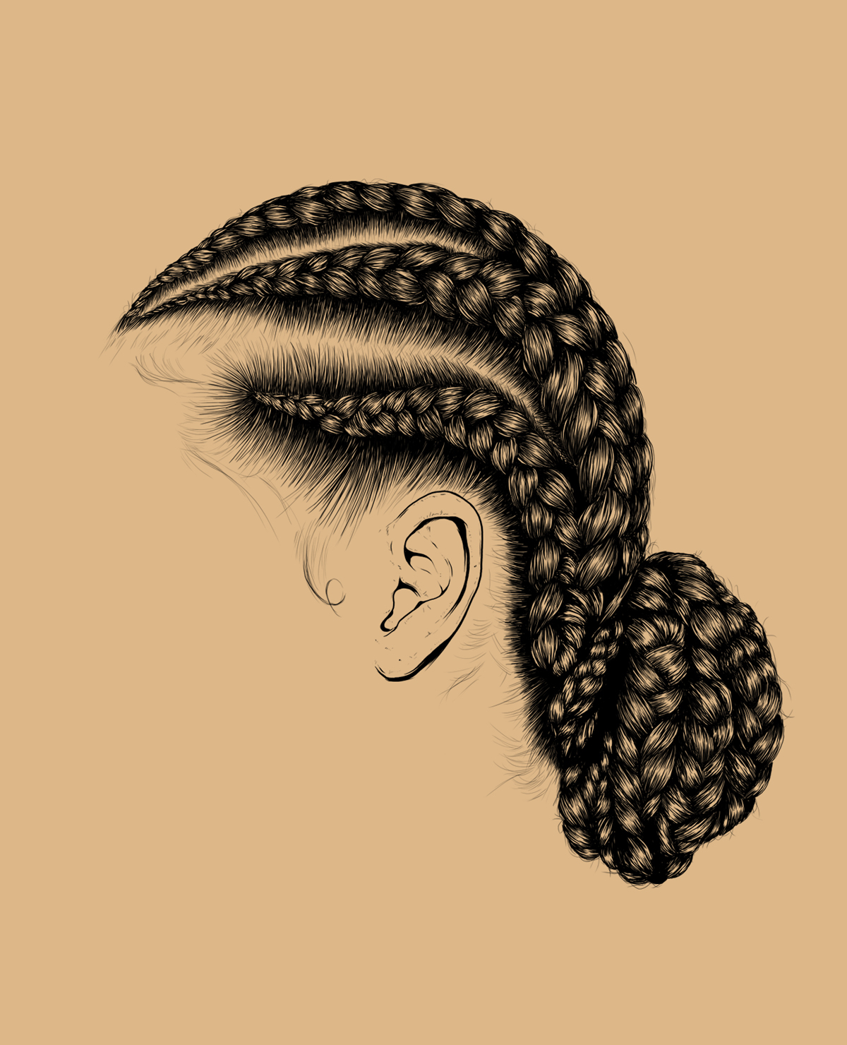 braids, hair, illustration, digital art, illustrator