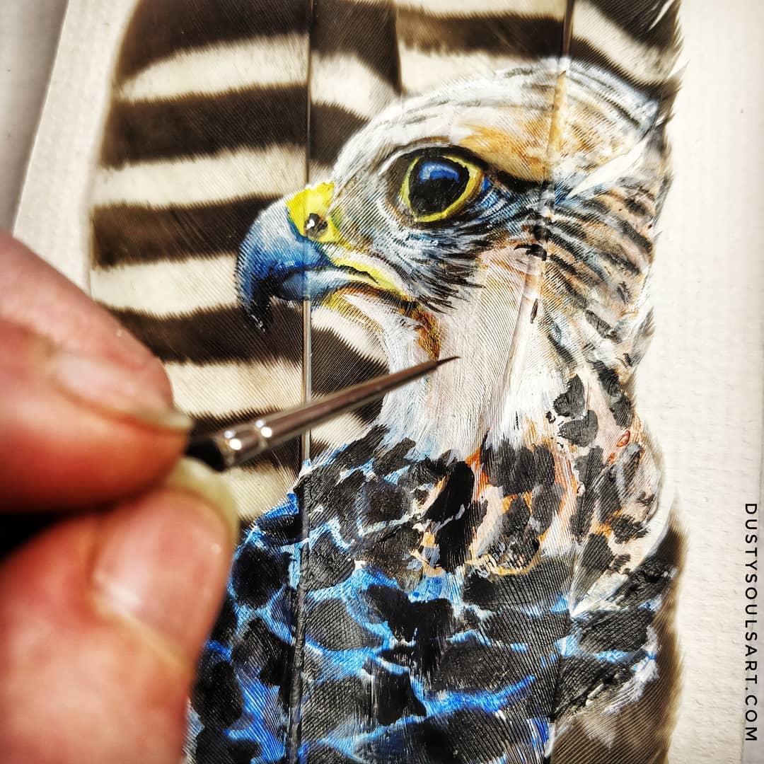 Drawing of a falcon