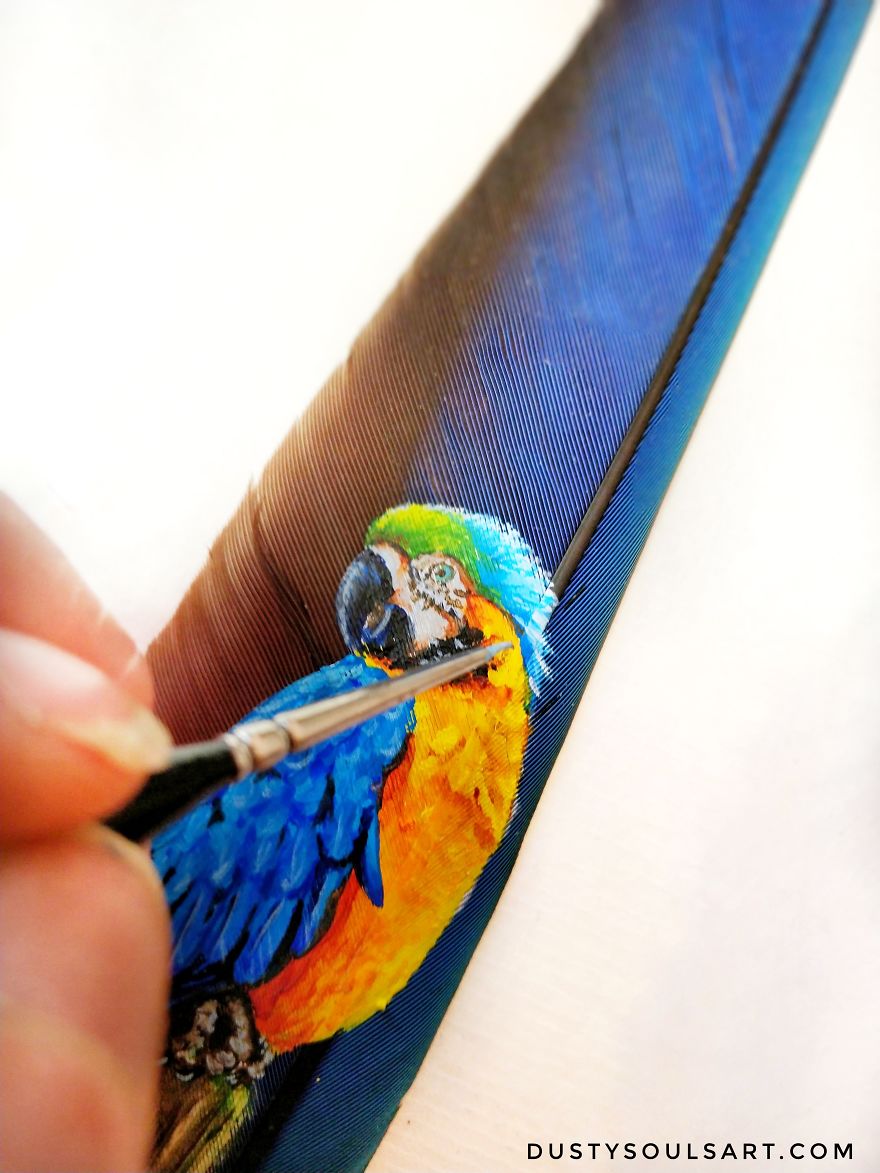 Parrot draw on a parrot feather