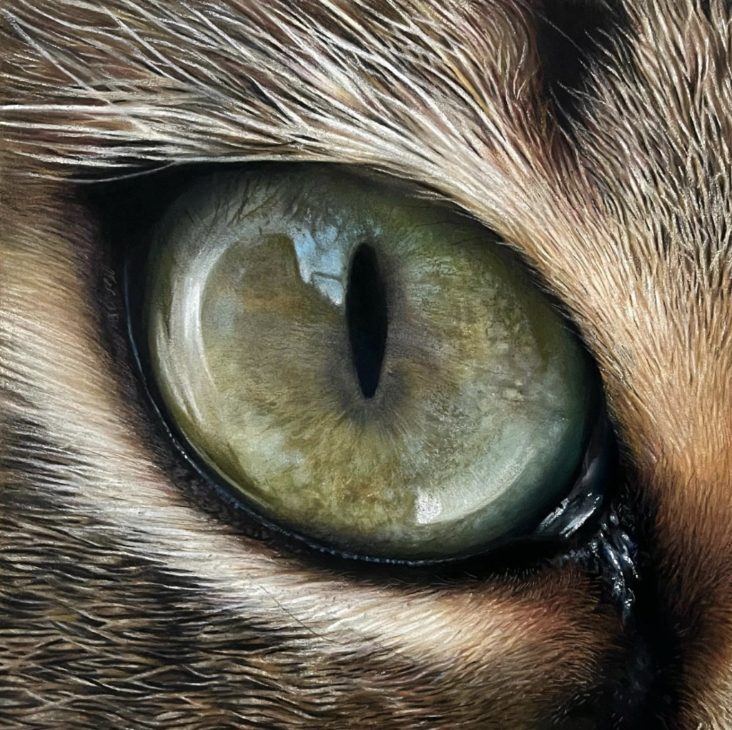 Pastel illustration of a cat's eye